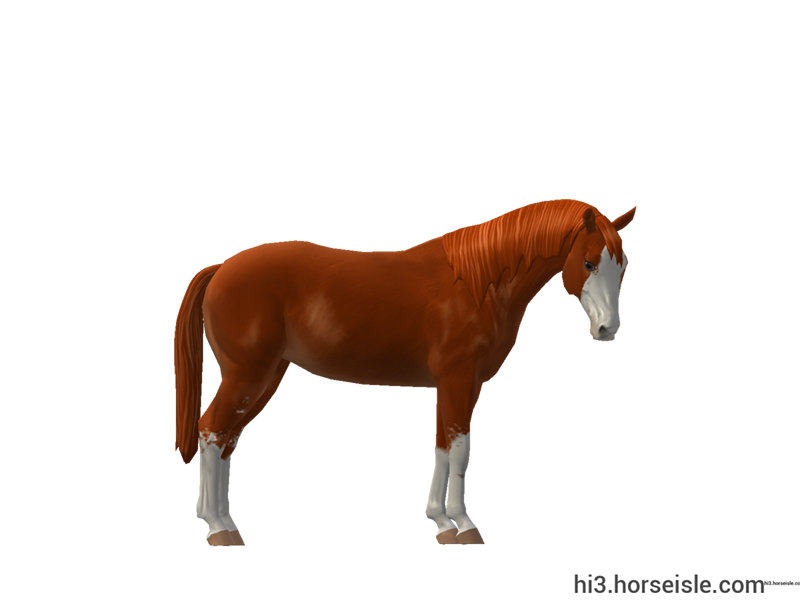 Horse Isle 3: Big Book of Breeds