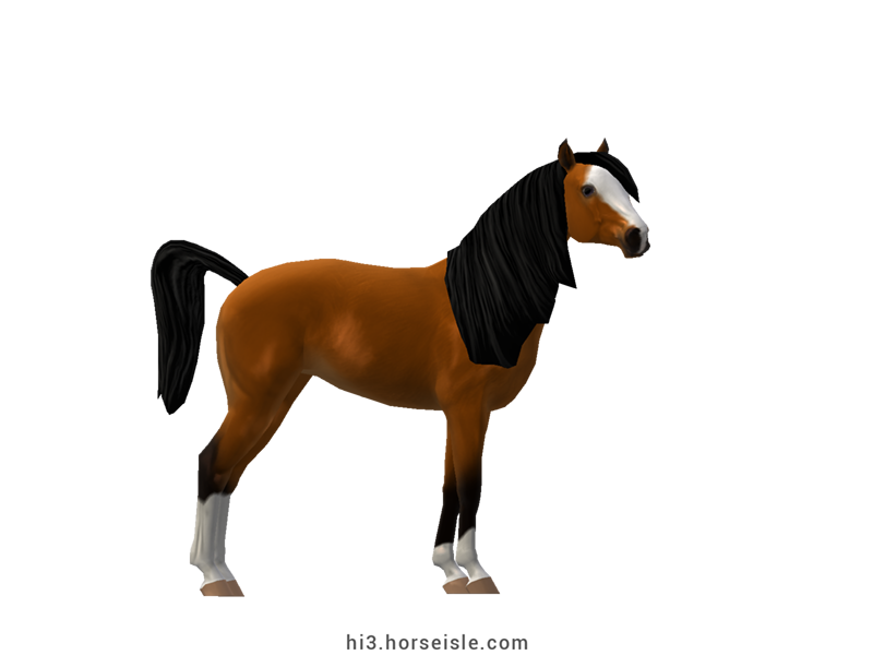 Horse Isle 3: Big Book of Breeds