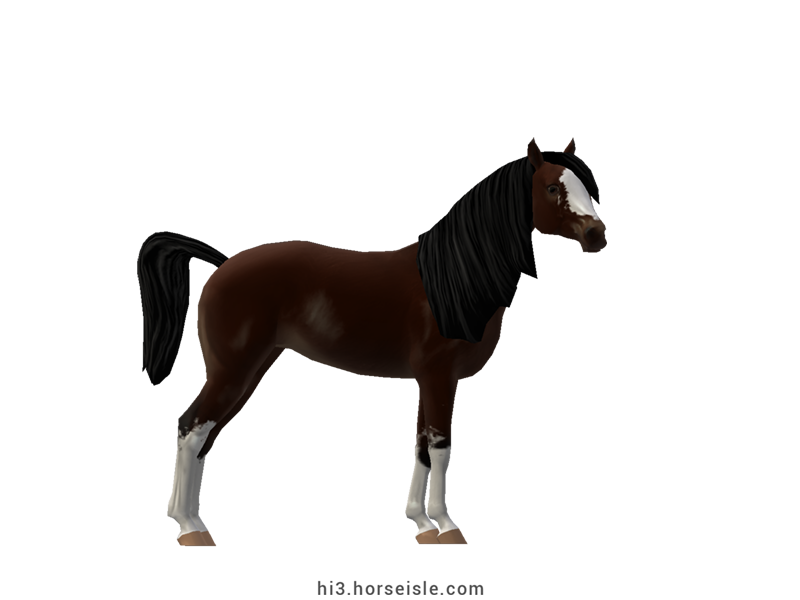 Horse Isle 3: Big Book of Breeds